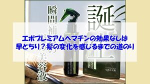 エポプレミアムヘマチンの効果なしは早とちり？髪の変化を感じるまでの道のり